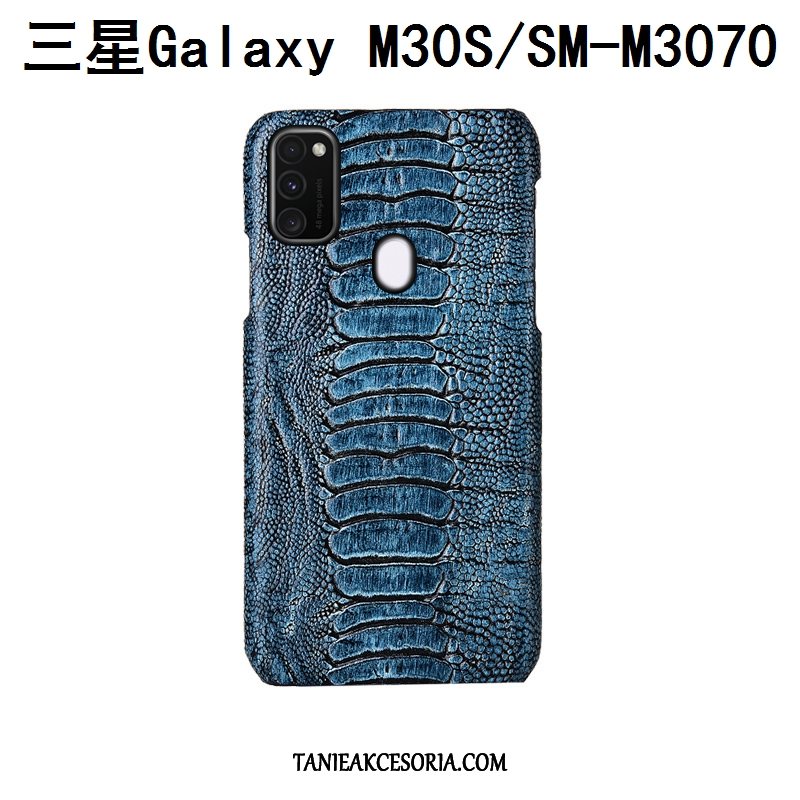 Etui Samsung Galaxy M30s Anti-fall Ptak Telefon Komórkowy, Futerał Samsung Galaxy M30s Tylna Pokrywa Moda Luksusowy