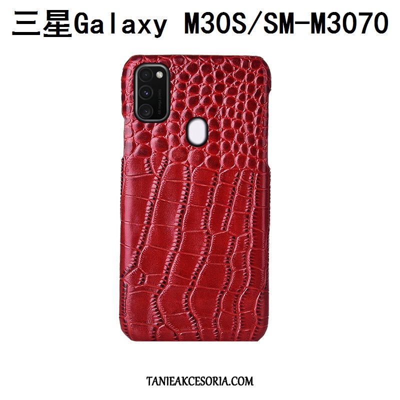 Etui Samsung Galaxy M30s Luksusowy Tylna Pokrywa Ochraniacz, Pokrowce Samsung Galaxy M30s Telefon Komórkowy Gwiazda Ptak Braun