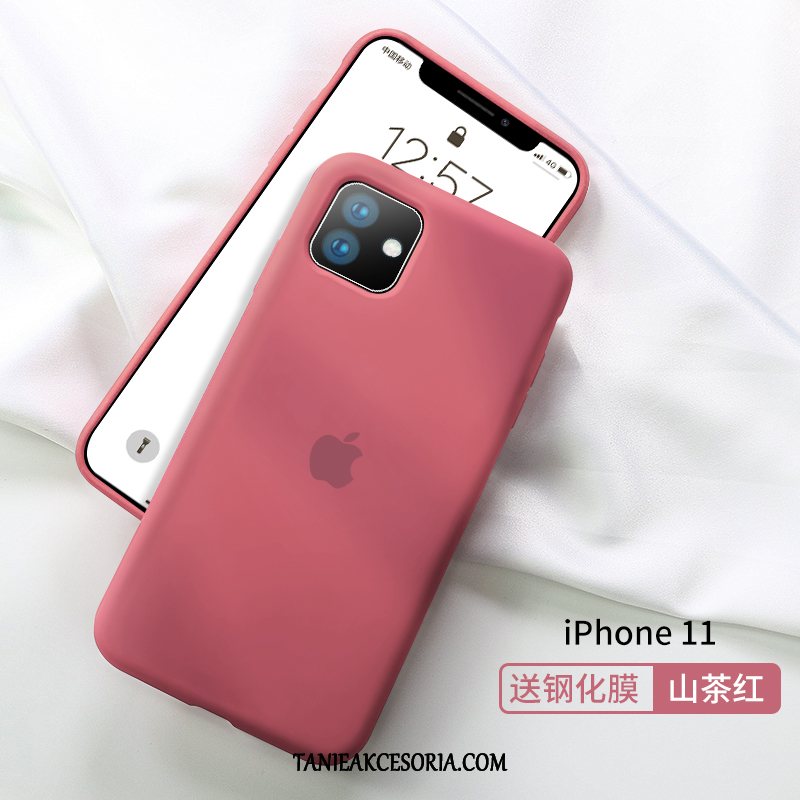 Etui iPhone 11 Czerwony Netto Telefon Komórkowy Anti-fall, Futerał iPhone 11 Szary Zielony Wysoki Koniec